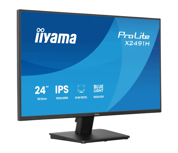 iiyama ProLite X2491H-B1 - 1518004 - zdjęcie 2